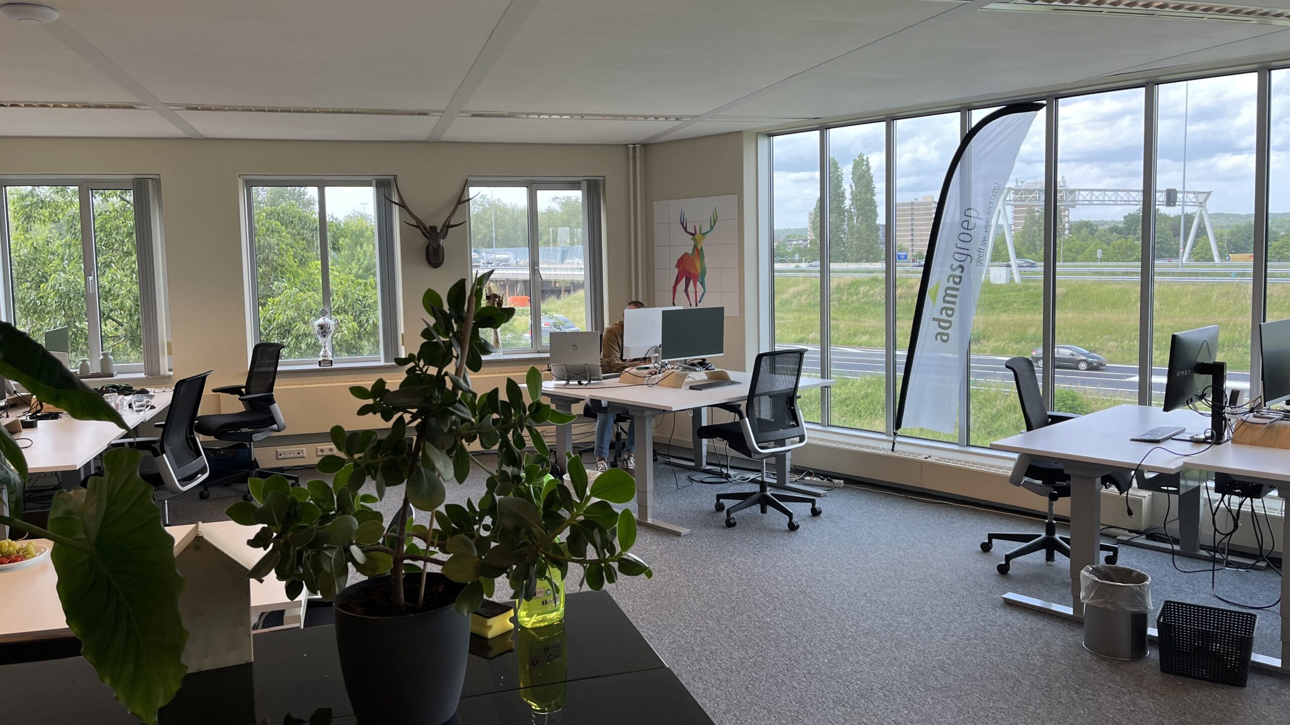 Daglicht op de werkvloer: investeren in het belangrijkste kapitaal van uw organisatie